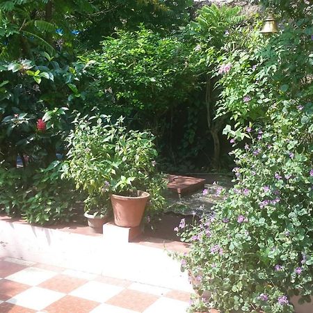 Sithara Homestay Fort Cochin Kochi Exterior photo
